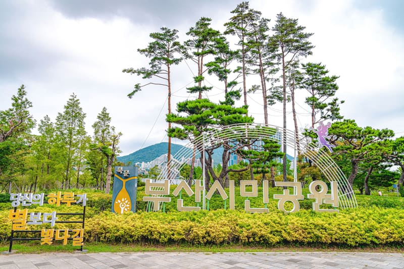 The Busan Citizens Park sign among pine trees at the park entrance, the festival venue