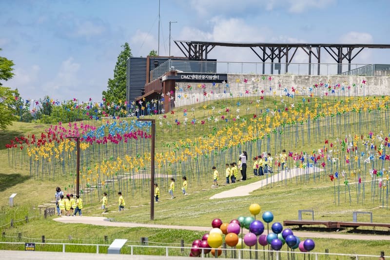 Pinwheels on the hill at Imjingak Peace Nuri Park in Paju, one of the festival's main sites