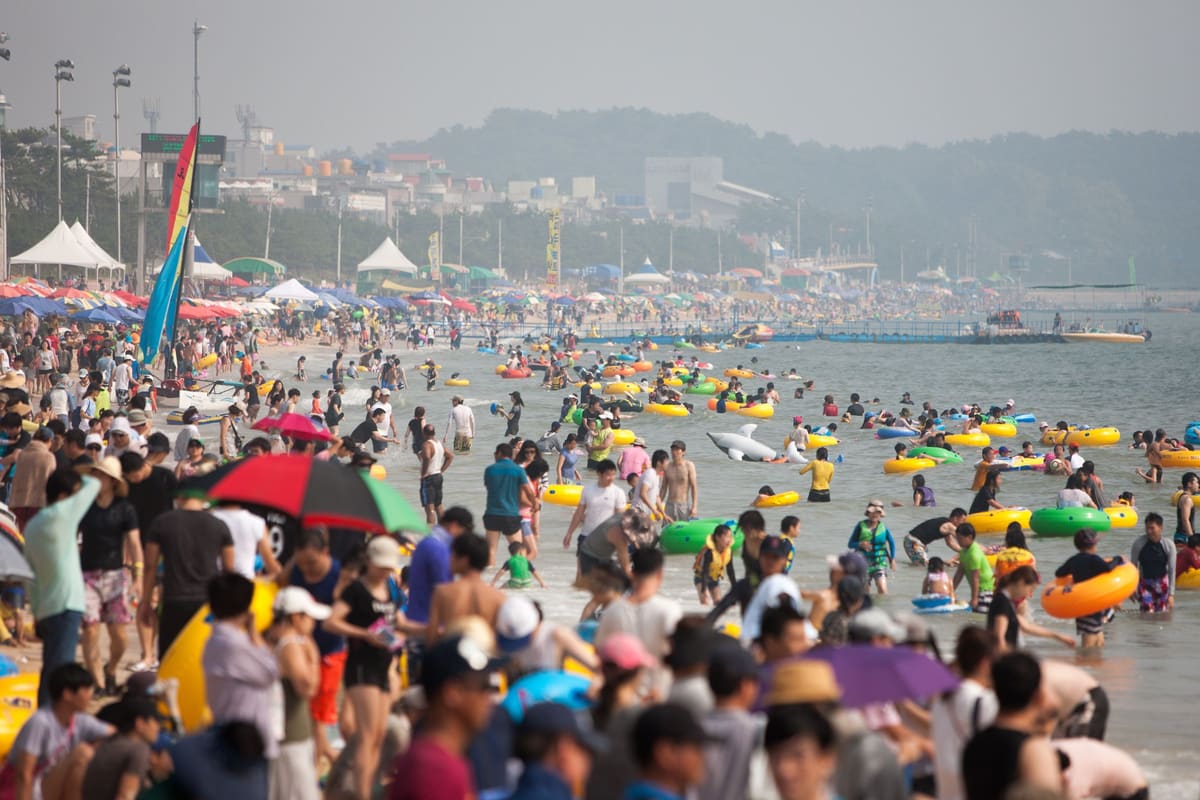 Crowds in the sea and on the sand at Daecheon Beach during the festival