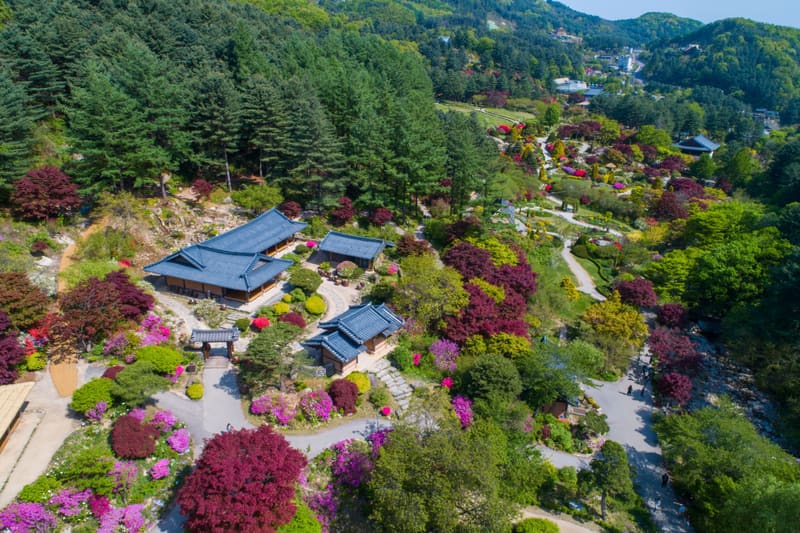 The Garden of Morning Calm in Gapyeong seen from above on a spring day; the lighting festival is held here in winter