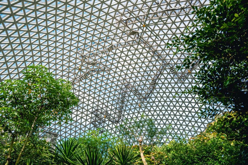 Inside the glass dome of Geoje Botanical Garden, next to the festival grounds