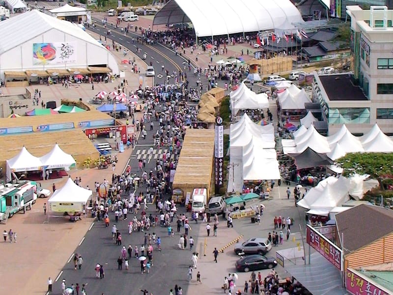 Visitors filling the festival streets of the 2009 Geumsan Ginseng Festival, seen from above