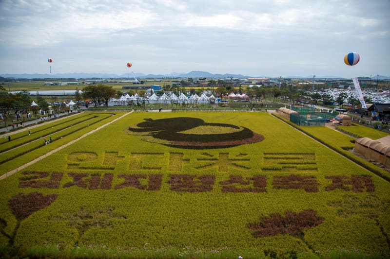Rice-field art spelling out the festival's name at the 2023 Gimje Horizon Festival