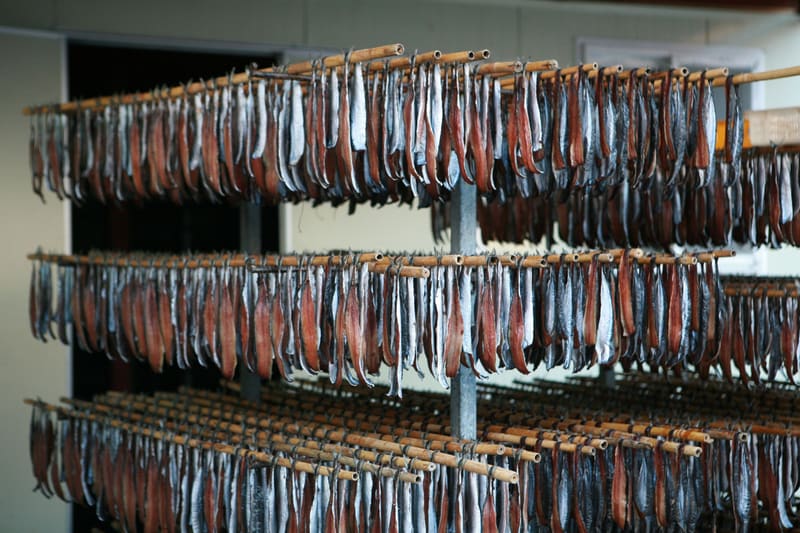 Rows of gwamegi (half-dried Pacific saury) hanging on drying racks in Pohang