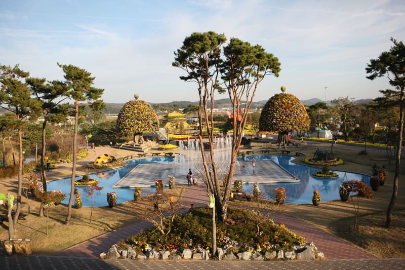 Chrysanthemum displays around a pond at Hampyeong Expo Park during the 2012 festival