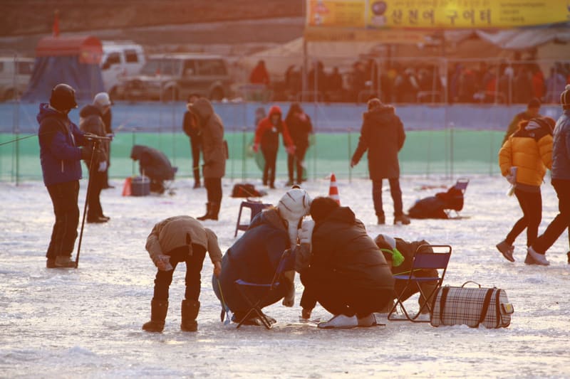 Visitors crouched over holes in the ice, fishing for trout at the 2012 Hwacheon Sancheoneo Ice Festival