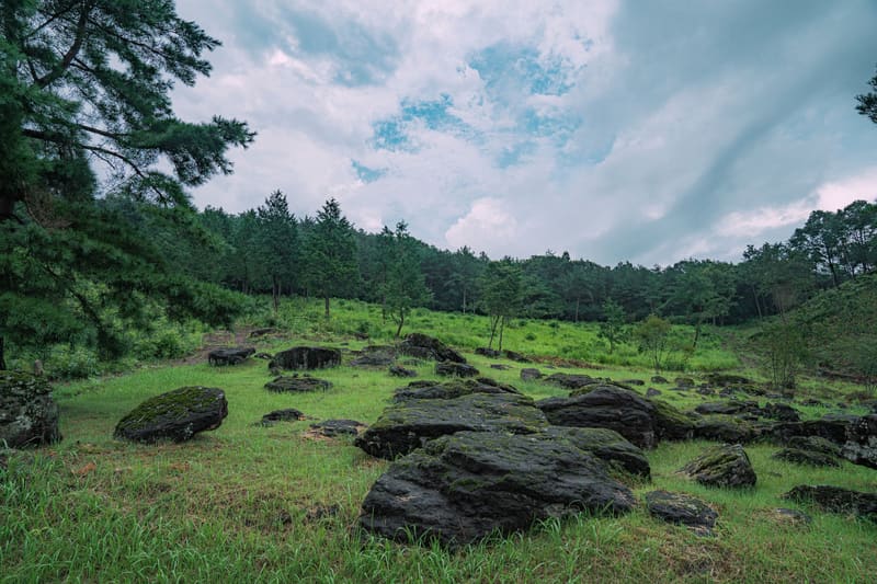 Dolmens scattered across the Hwasun Dolmen Site, a UNESCO World Heritage site and the festival's venue