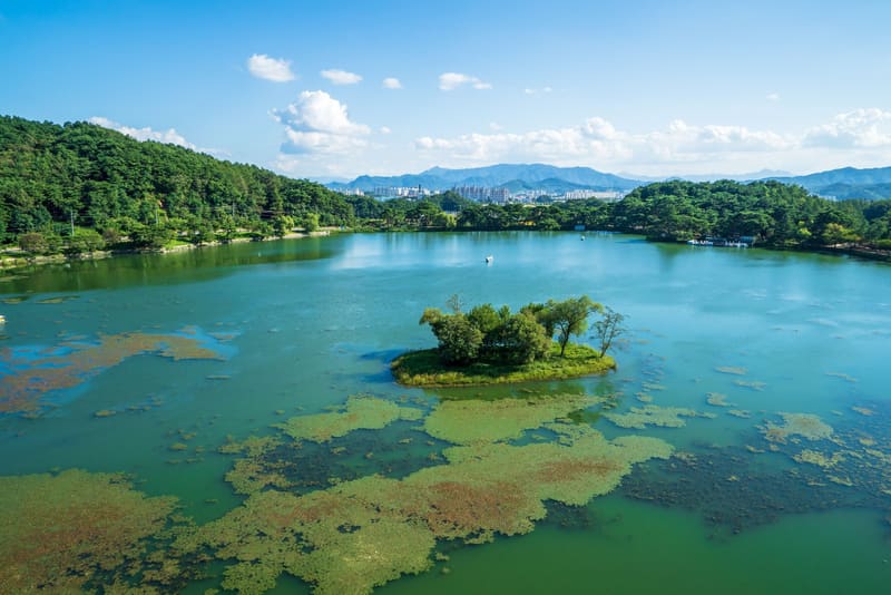 Aerial view of Uirimji Reservoir in Jecheon, with its small wooded island and the city beyond