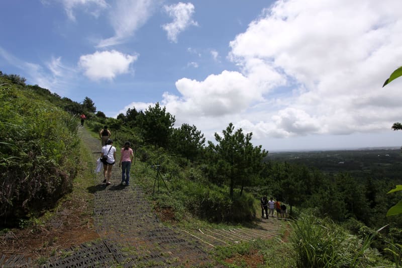 Walkers on a Jeju Olle trail in 2009