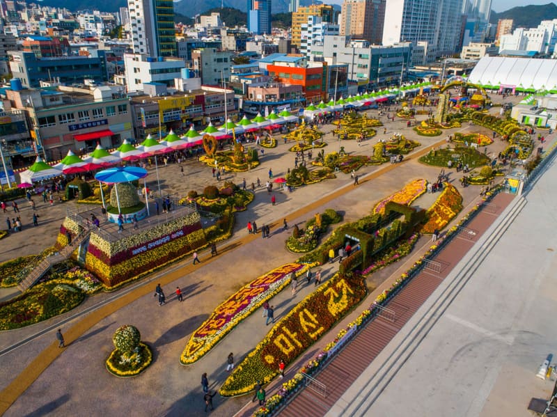 Chrysanthemum displays along the Masan waterfront seen from above during the 2019 festival