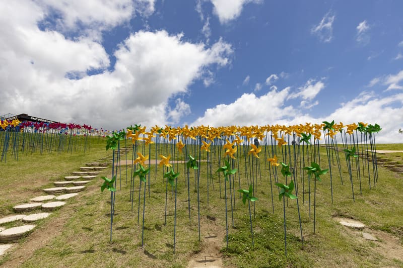 Pinwheels on the hill at Imjingak Peace Nuri Park in Paju, beside the festival grounds