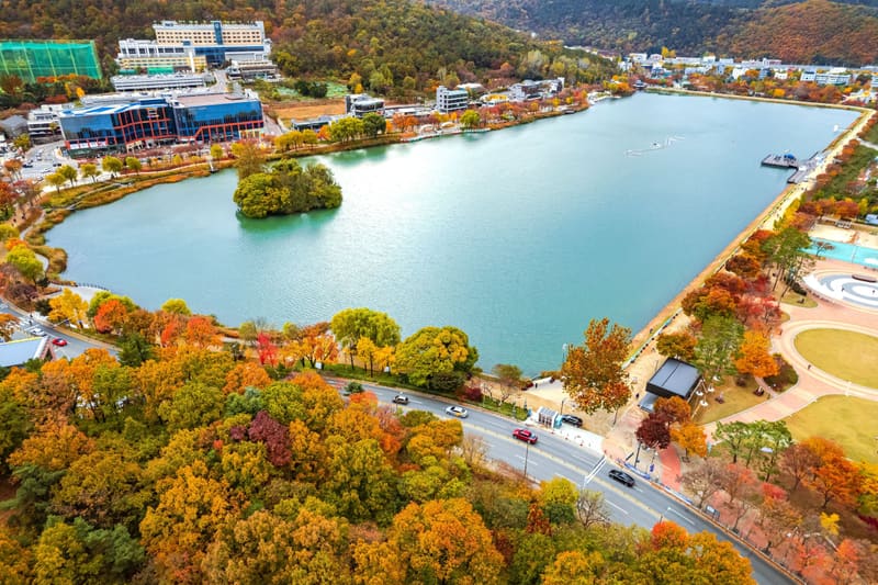 Suseong Lake (Suseongmot) in Daegu ringed by autumn foliage, seen from above; the biennale is set around the lake
